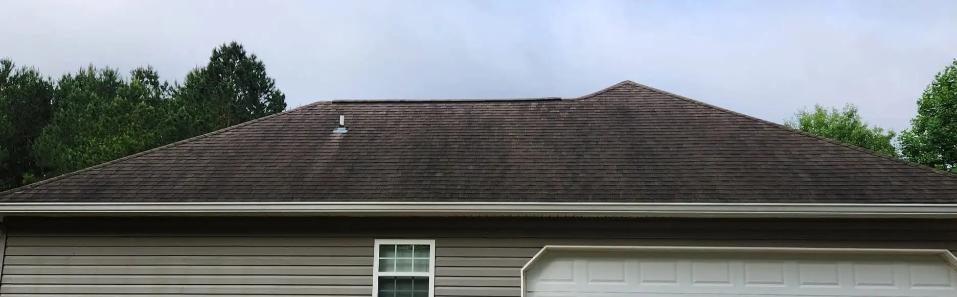 Black algae streaks (Gloeocapsa magma) on shingles,