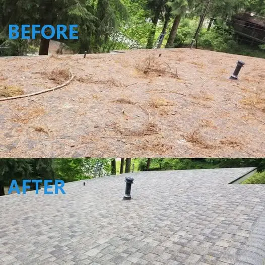 Dallas Roof Cleaning
