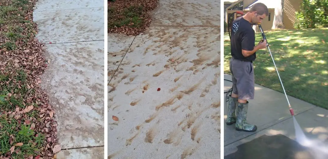 Concrete cleaning Dallas crew removing tannin leaf stains from a sidewalk